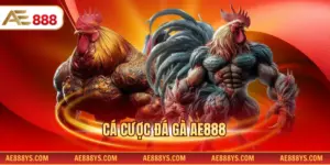Cá cược đá gà AE888