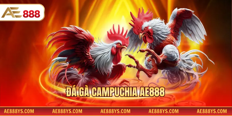 Đá gà Campuchia AE888