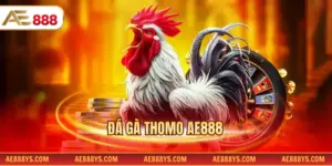 Đá gà Thomo AE888