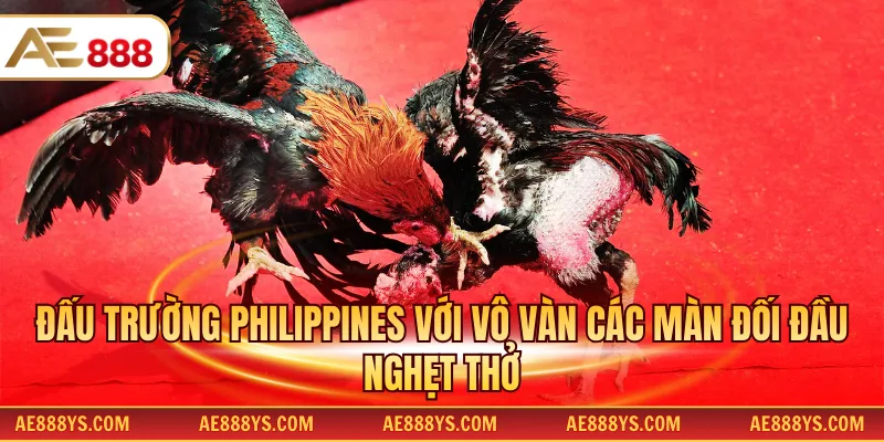 Đấu trường Philippines với vô vàn các màn đối đầu nghẹt thở