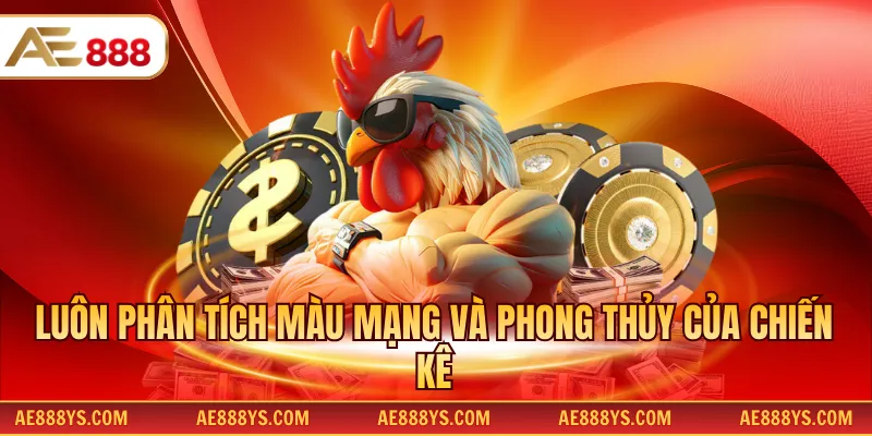 Luôn phân tích màu mạng và phong thủy của chiến kê