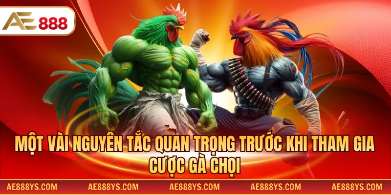 Một vài nguyên tắc quan trọng trước khi tham gia cược gà chọi