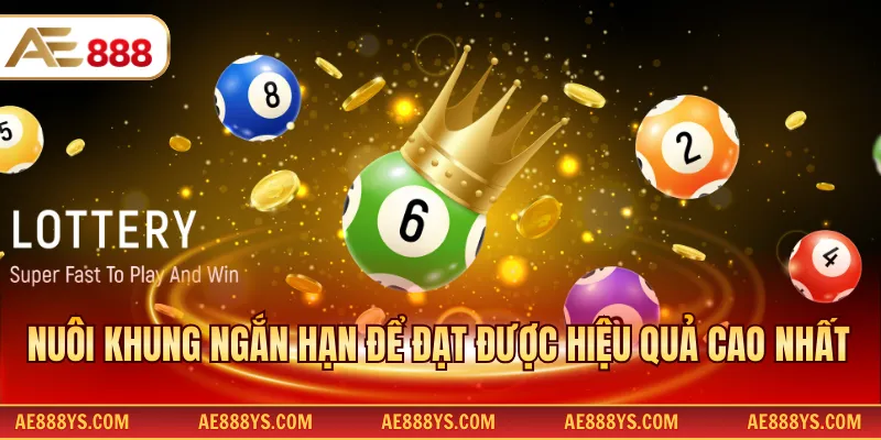 Nuôi khung ngắn hạn để đạt được hiệu quả cao nhất